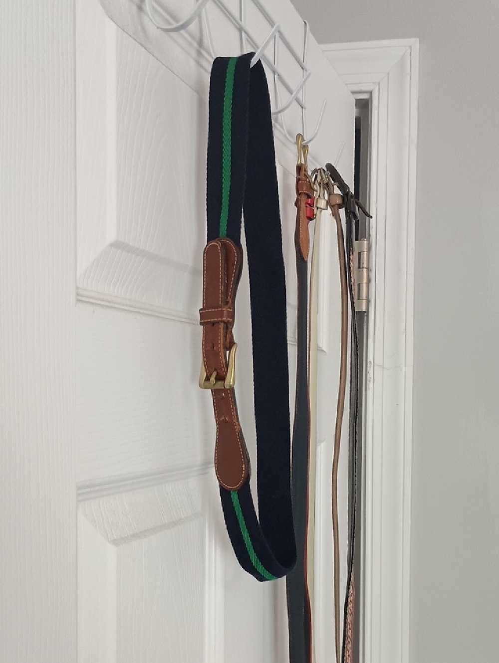 Dooney & Bourke Navy Webbing Belt with Green Stripe and Brown Leather Trim